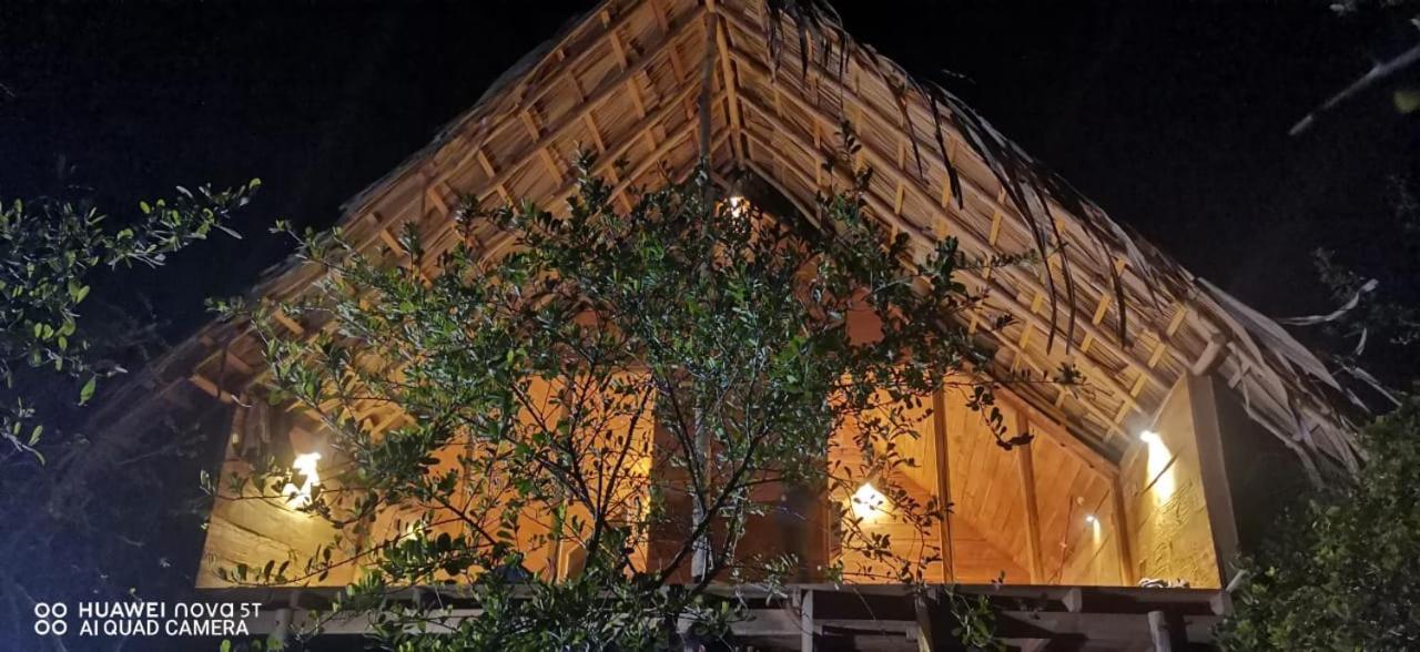 Hotel Mamba Yala Tissamaharama Exterior foto