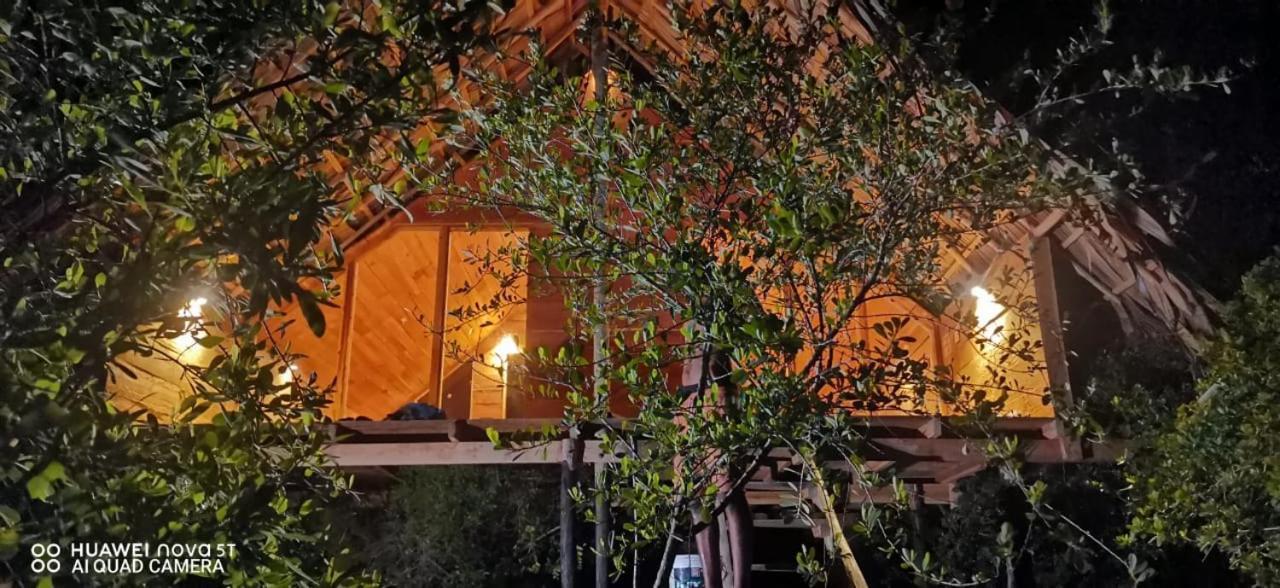 Hotel Mamba Yala Tissamaharama Exterior foto