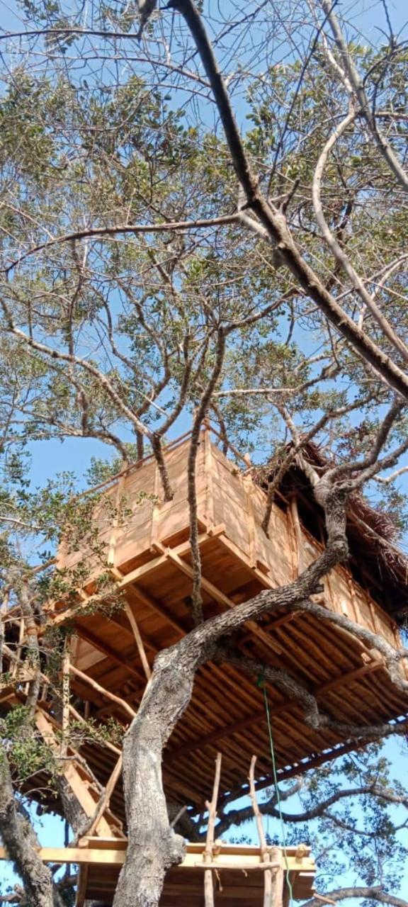 Hotel Mamba Yala Tissamaharama Exterior foto