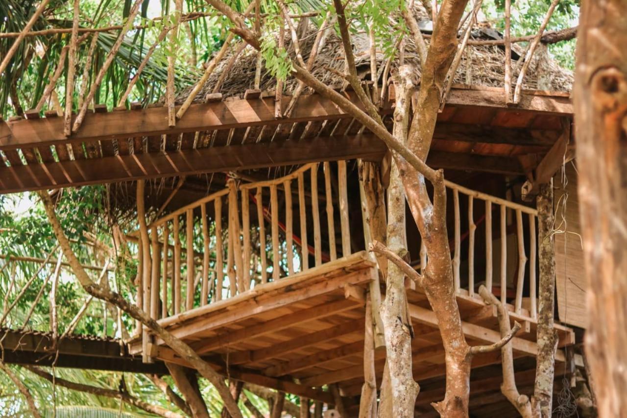 Hotel Mamba Yala Tissamaharama Exterior foto