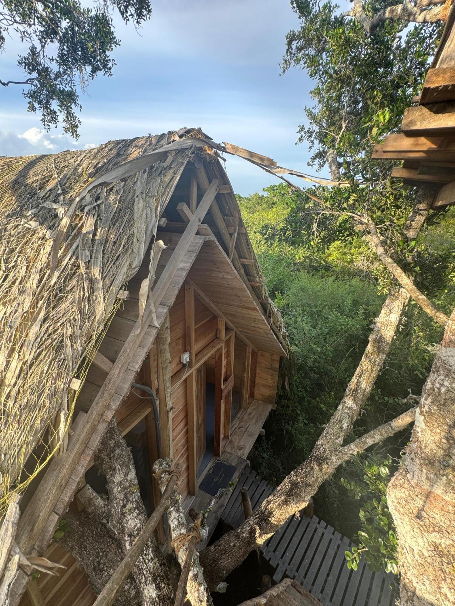 Hotel Mamba Yala Tissamaharama Exterior foto